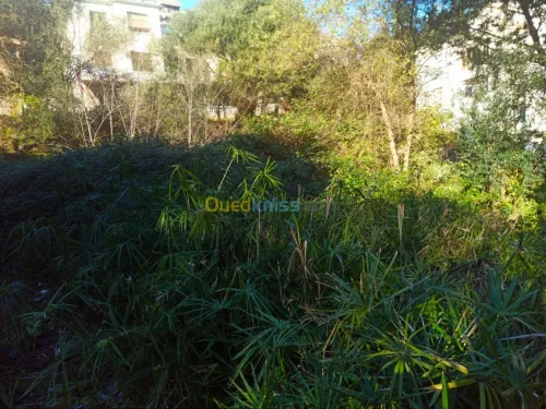 Vente Villa Skikda Skikda