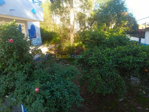 Vente Villa Skikda Skikda