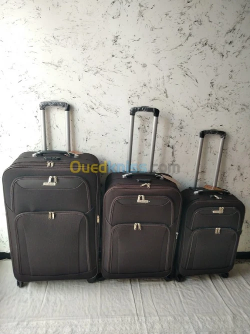 Valise de voyage
