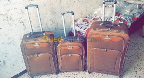 Valise de voyage
