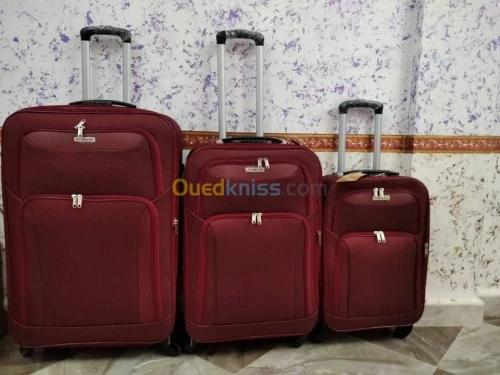 Valise de voyage