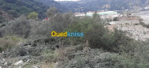 Vente Terrain Bejaia Souk el thenine