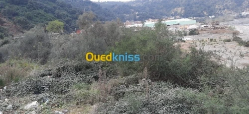 Vente Terrain Bejaia Souk el thenine