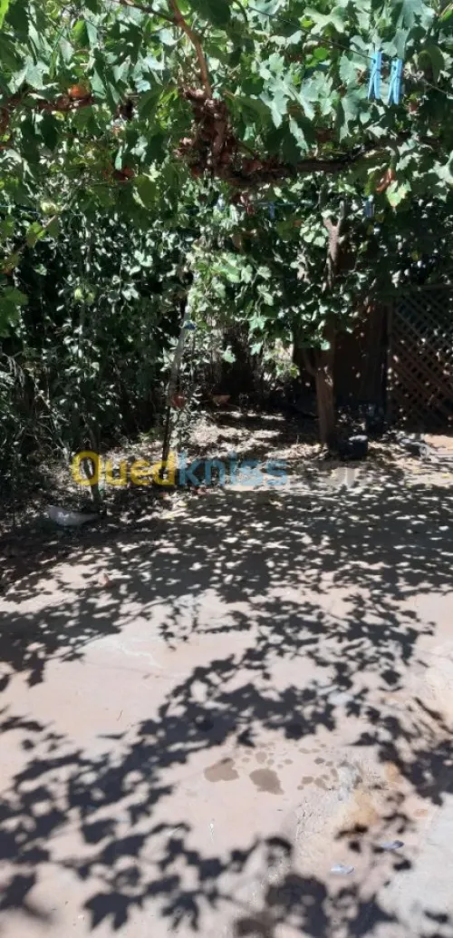 Vente Appartement F4 Oran Hassi mefsoukh