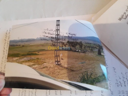 Vente Terrain Setif Rasfa