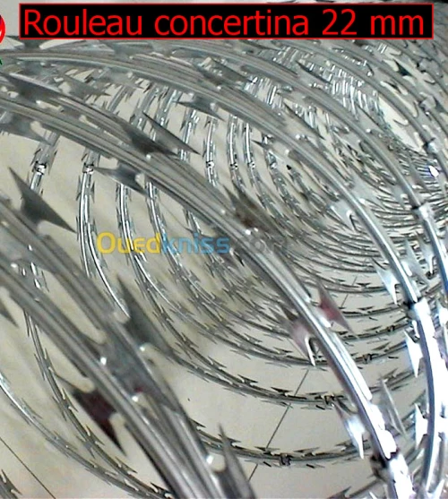 RESEAU CONCERTINA