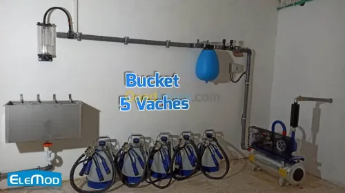 Bucket --| Saïda | -- ELEMOD