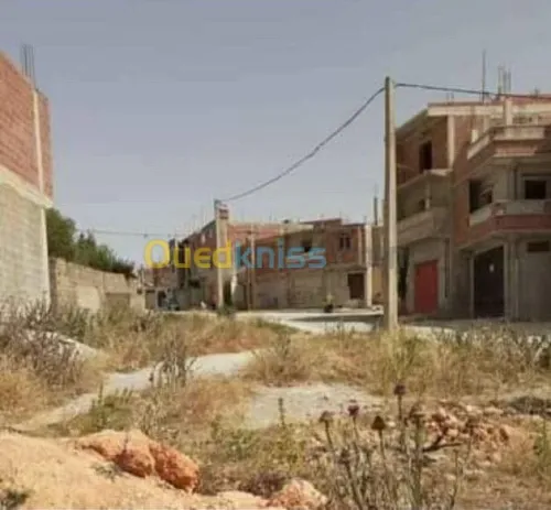 Vente Terrain Constantine Ain abid
