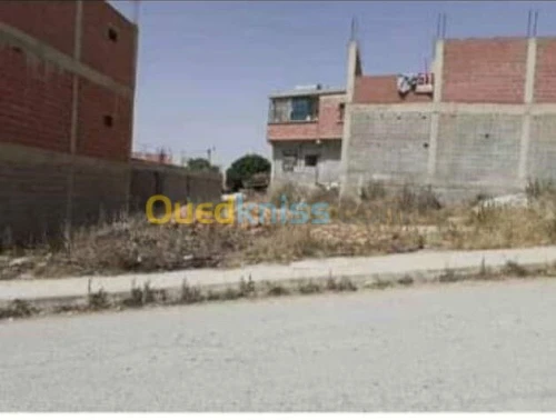Vente Terrain Constantine Ain abid