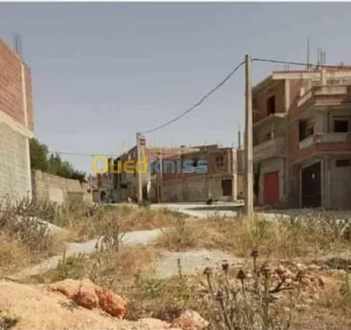 Vente Terrain Constantine Ain abid