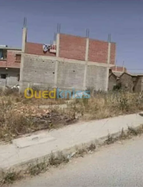 Vente Terrain Constantine Ain abid
