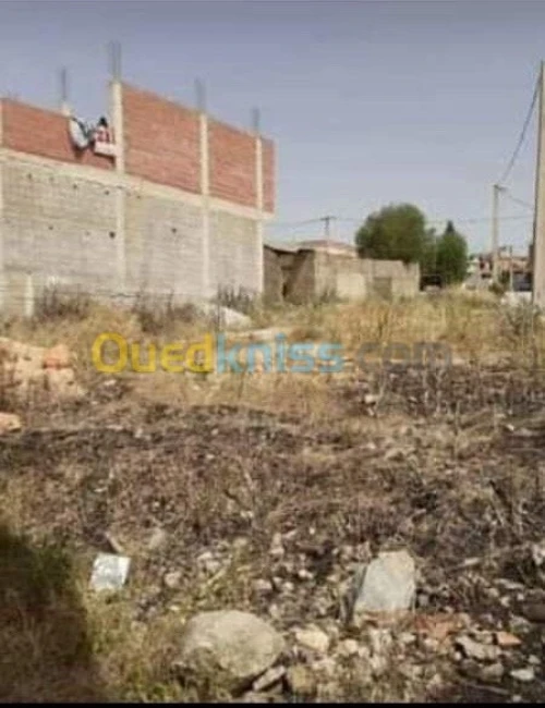 Vente Terrain Constantine Ain abid