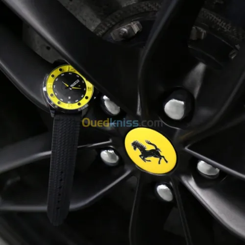 MONTRE SPARCO