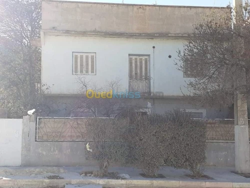 Vente Appartement F11 Tebessa Bekkaria 
