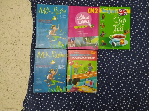 Programme.FR livreCE2+1+CM2+5EME+4E+3E