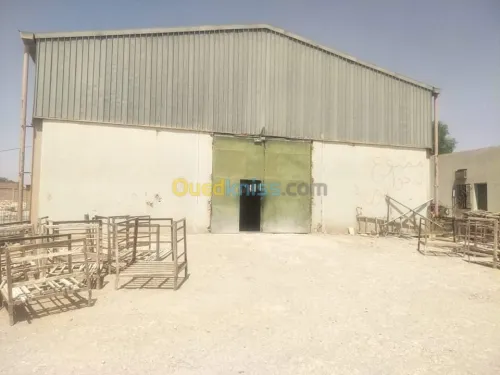 Vente Usine Naama Ain sefra