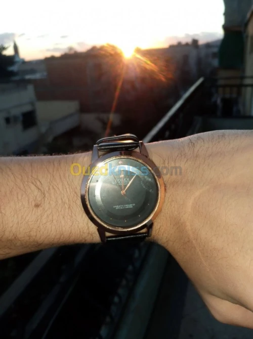  Montre Daniel Wellington et Rolex