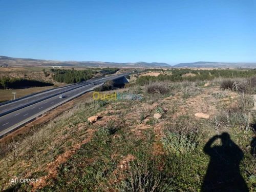 Vente Terrain Agricole Sidi bel abbes Sidi hamadouche