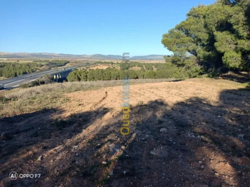 Vente Terrain Agricole Sidi bel abbes Sidi hamadouche
