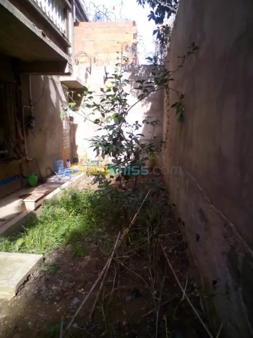 Vente Villa Skikda El Hadaiek
