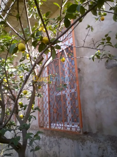 Vente Villa Skikda El Hadaiek