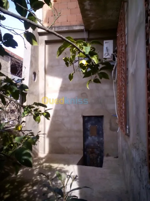 Vente Villa Skikda El Hadaiek