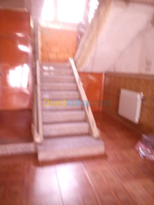 Vente Villa Skikda El Hadaiek