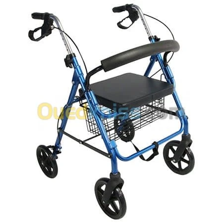 FAUTEUIL ROULANT,CANNE, BEQUILLE, 