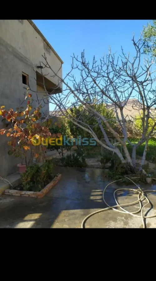 Vente Villa Msila Ouled sidi brahim
