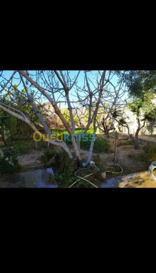 Vente Villa Msila Ouled sidi brahim
