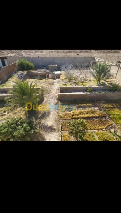 Vente Villa Msila Ouled sidi brahim