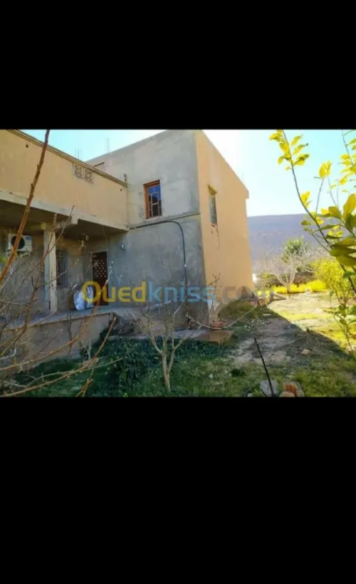 Vente Villa Msila Ouled sidi brahim