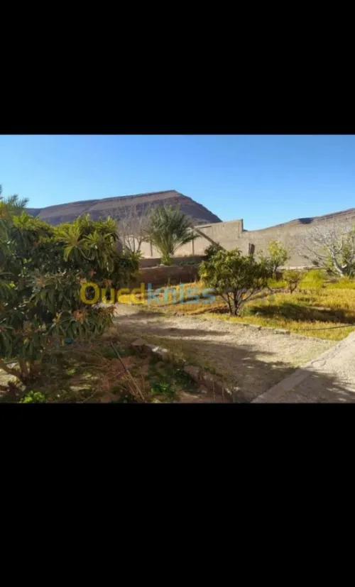 Vente Villa Msila Ouled sidi brahim
