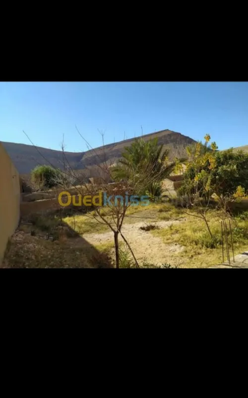 Vente Villa Msila Ouled sidi brahim