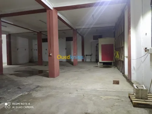 Location Hangar Blida Blida