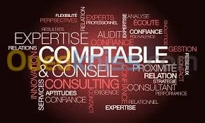 Gestion comptable/Audit/Fiscalité/CAC