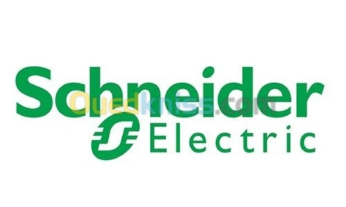 Interrupteur Simple Schneider 