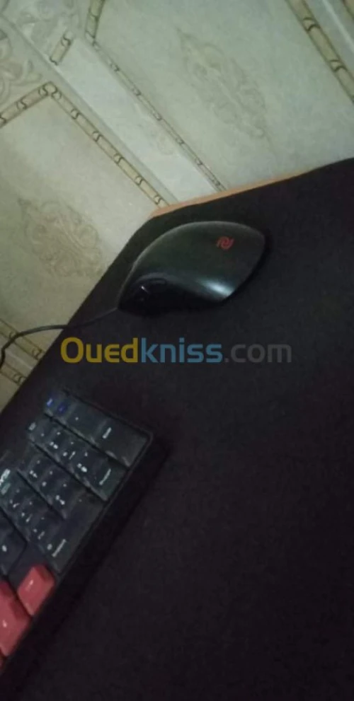 Mouse Zowie EC1 