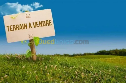 Vente Terrain Agricole Djelfa El khemis