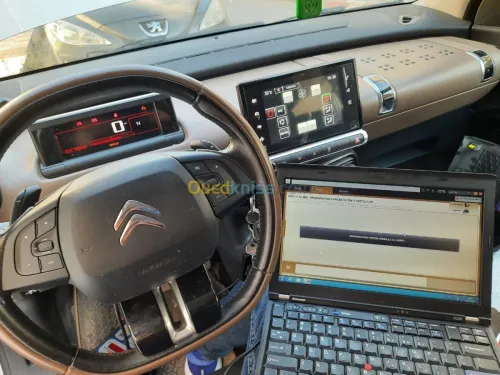 Suppression EGR FAP ADBLEUE