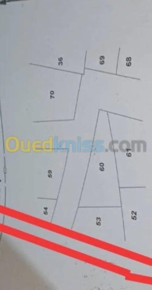 Vente Terrain Tlemcen Tlemcen