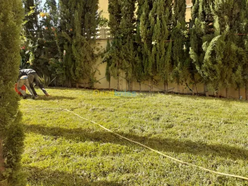  gazon naturel planète 