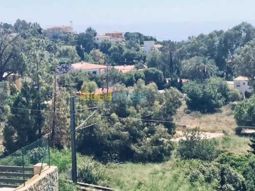 Vente Terrain Espagne