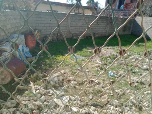 Vente Villa Skikda Benazouz beni bechir