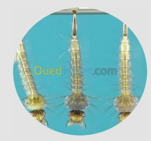 INSECTICIDE LARVAKILL TABLETTES 