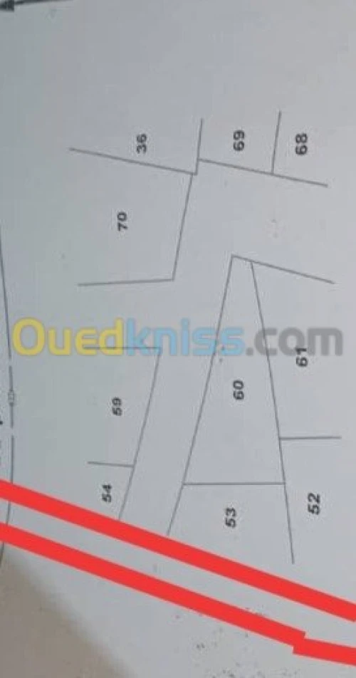 Vente Terrain Tlemcen Tlemcen