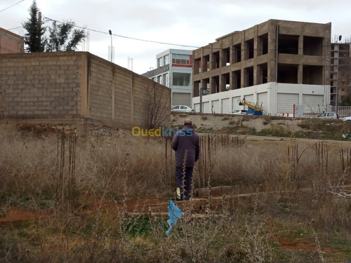 Vente Terrain Tlemcen Tlemcen