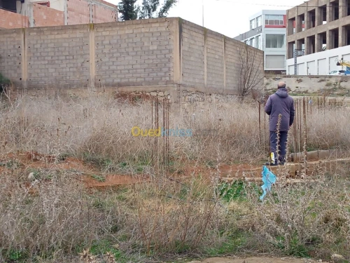 Vente Terrain Tlemcen Tlemcen