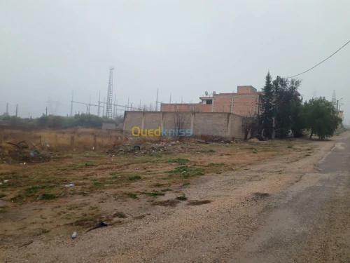 Vente Terrain Tlemcen Tlemcen