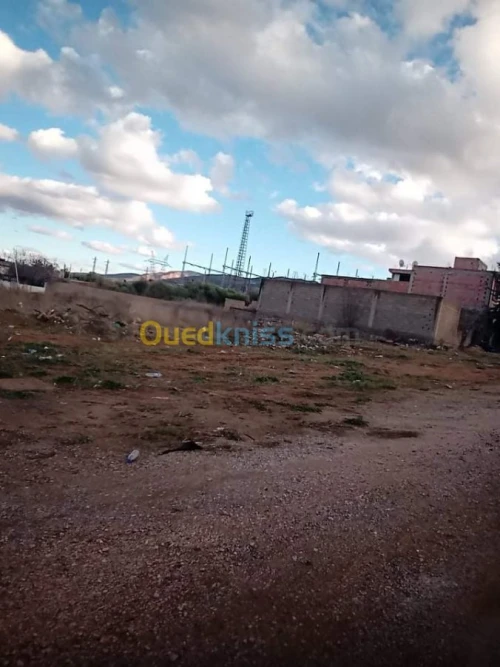 Vente Terrain Tlemcen Tlemcen